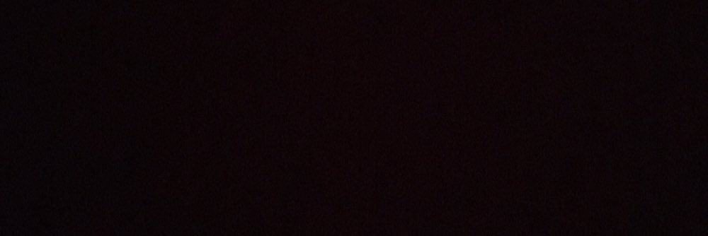 NeishaleeG's profile banner image