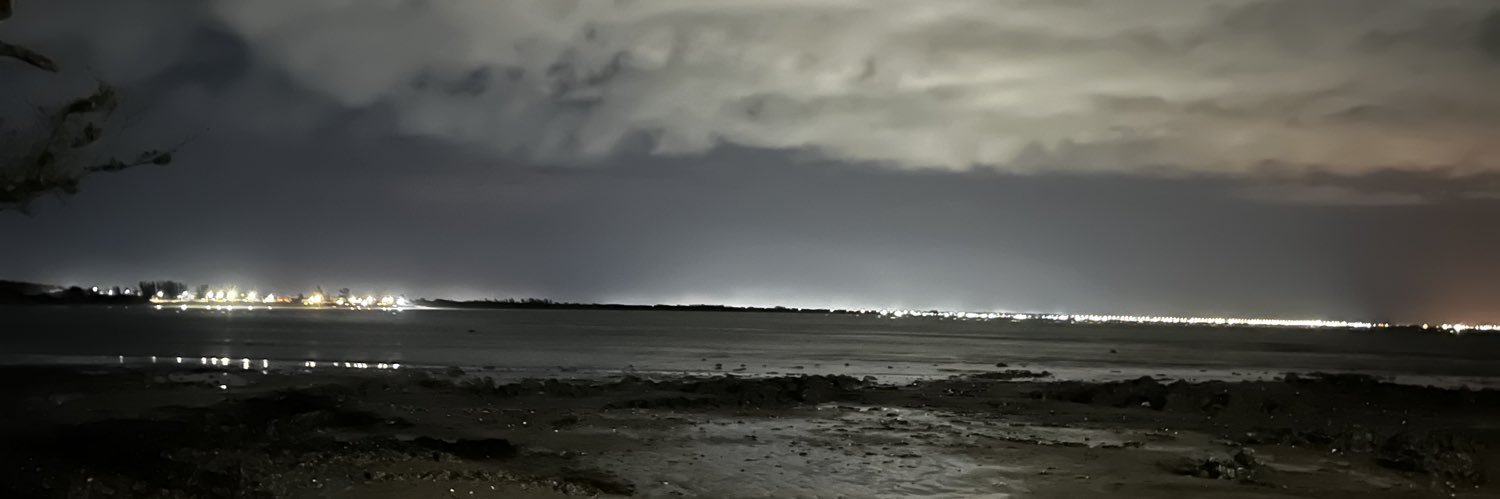 millena sem g banner