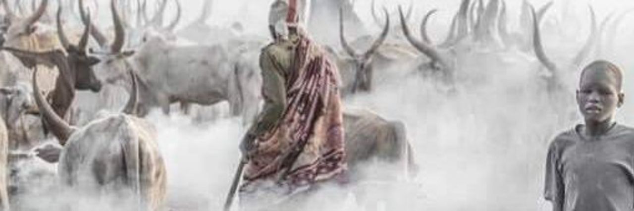 Gudele211's profile banner image