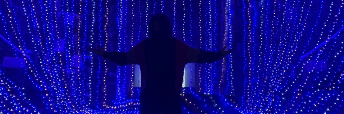 p_puriusu's profile banner image