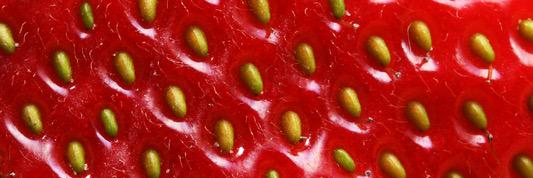 Jam Design Devon banner