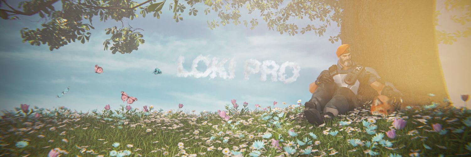 Loki Proasheck banner