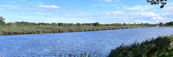 abrioli Profile Banner