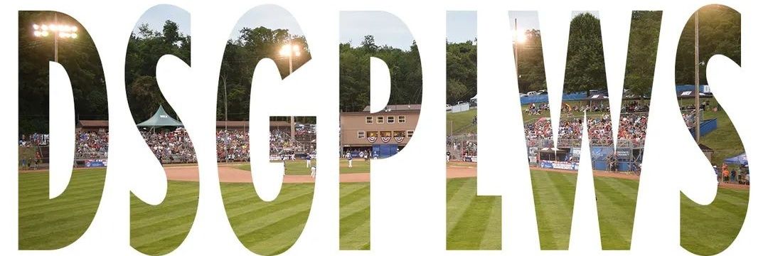 Washington County Pony World Series Team banner