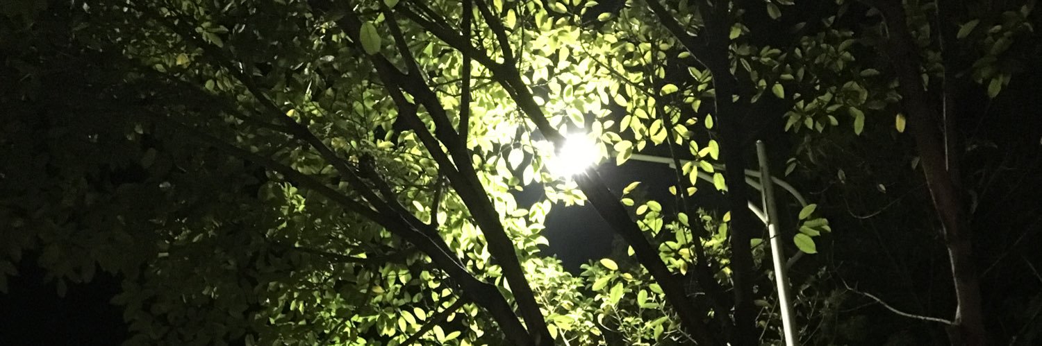 daquantou's profile banner image
