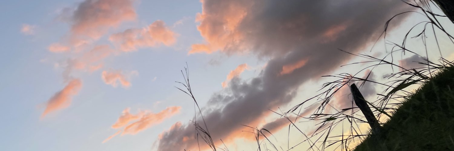 sofmardo's profile banner image