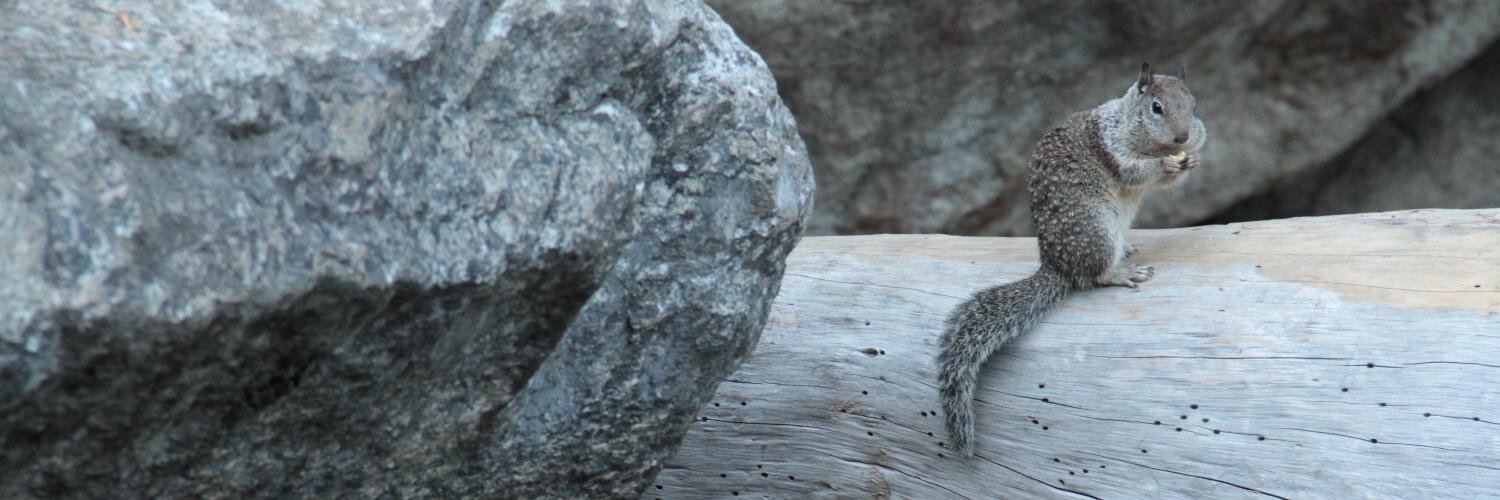 AbbyMoriah's profile banner image