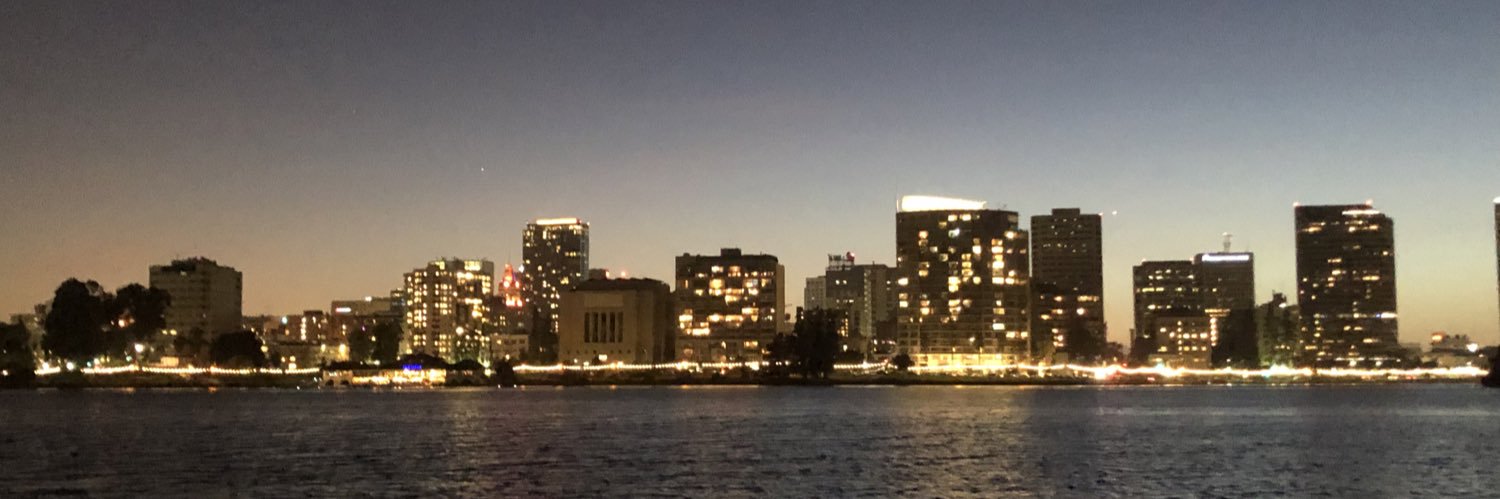 DianeDoncel's profile banner image