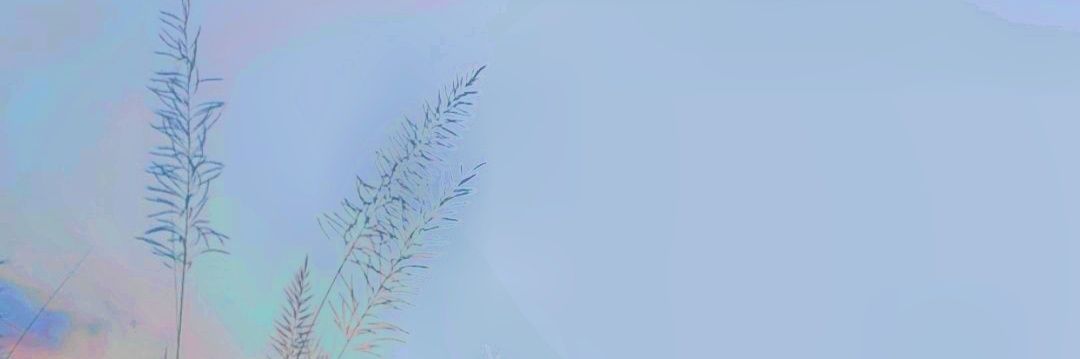 BgfNadim's profile banner image