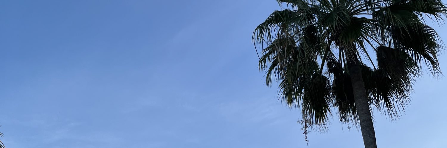 rochyqh's profile banner image