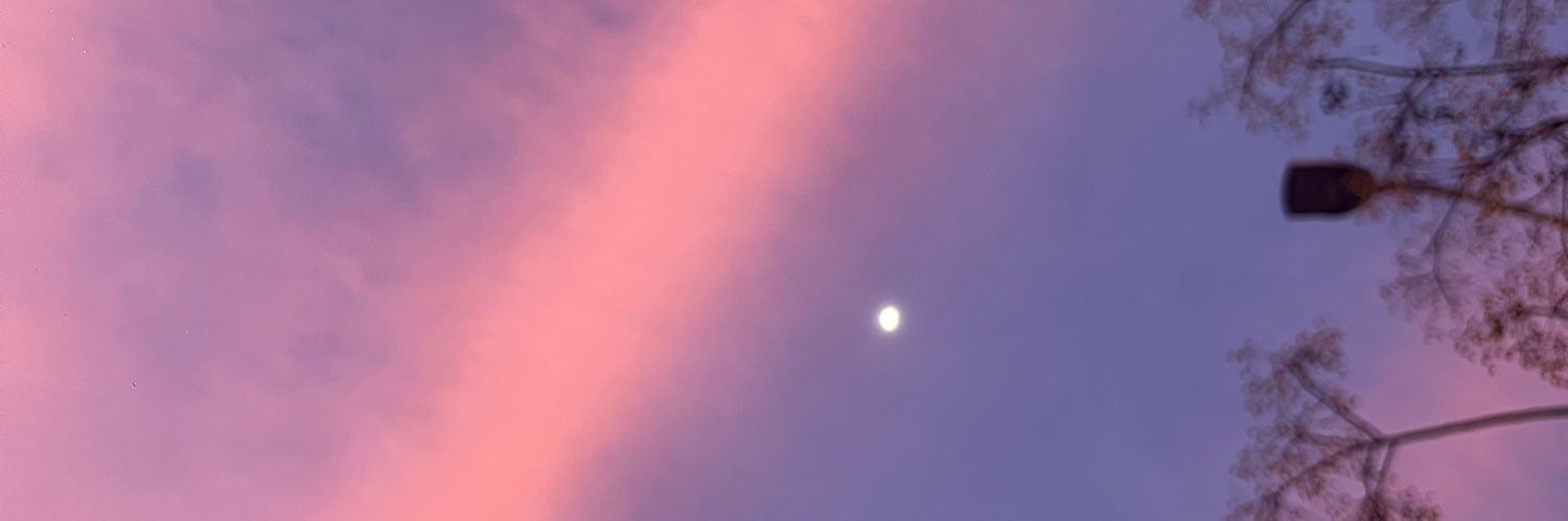 LauraJanaina1's profile banner image
