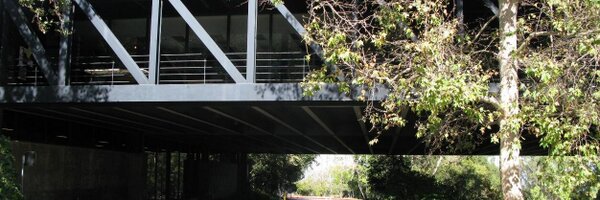 BillyGuidoni Profile Banner