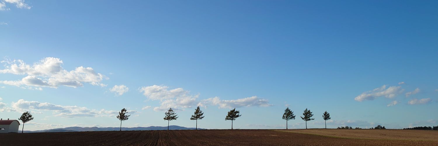 lilymotto's profile banner image