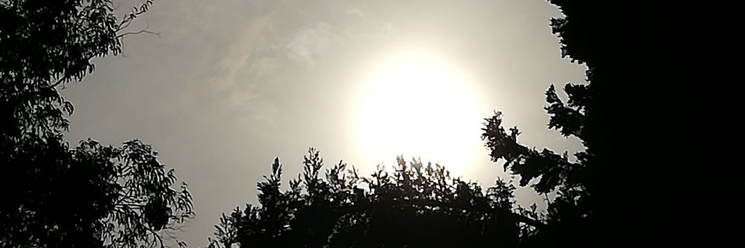 AnnaOvidi's profile banner image