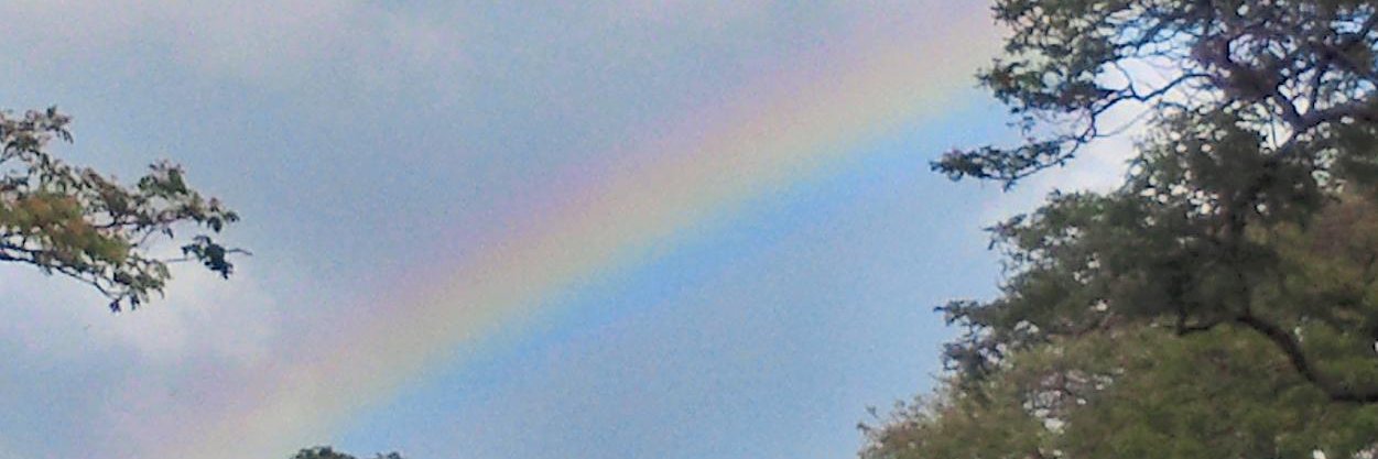 LArCroyant's profile banner image
