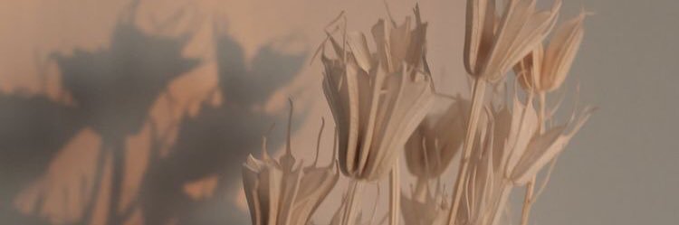 nessita715's profile banner image