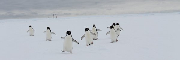 DundasVar Profile Banner