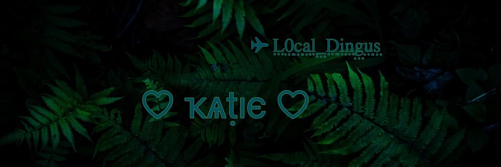 L0cal_Dingus's profile banner image
