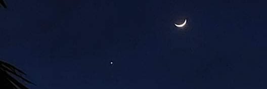 M banner