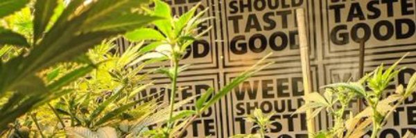 Weed Should Taste Good Profile Banner