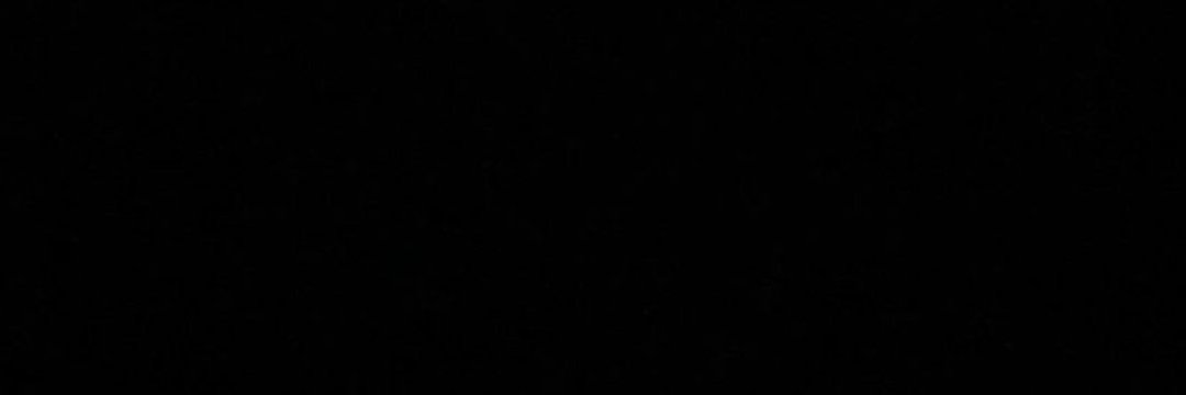aryah banner