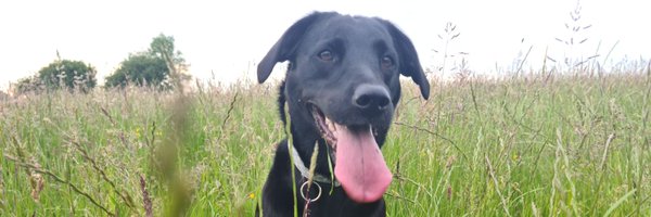 KatPaton13 Profile Banner