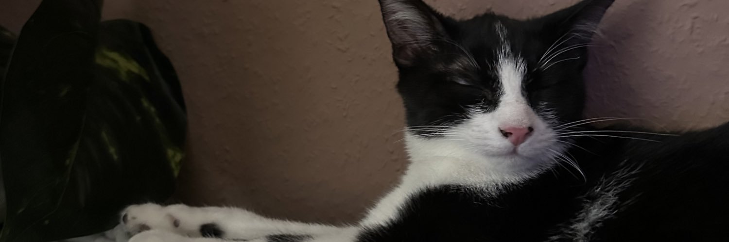 arsmr_'s profile banner image