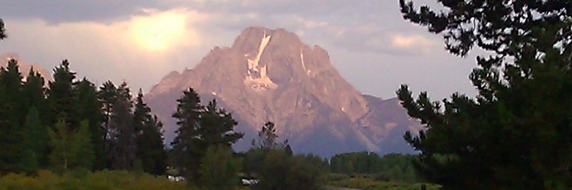 Kevin Nethercott banner