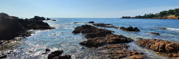 AngelShep06 Profile Banner