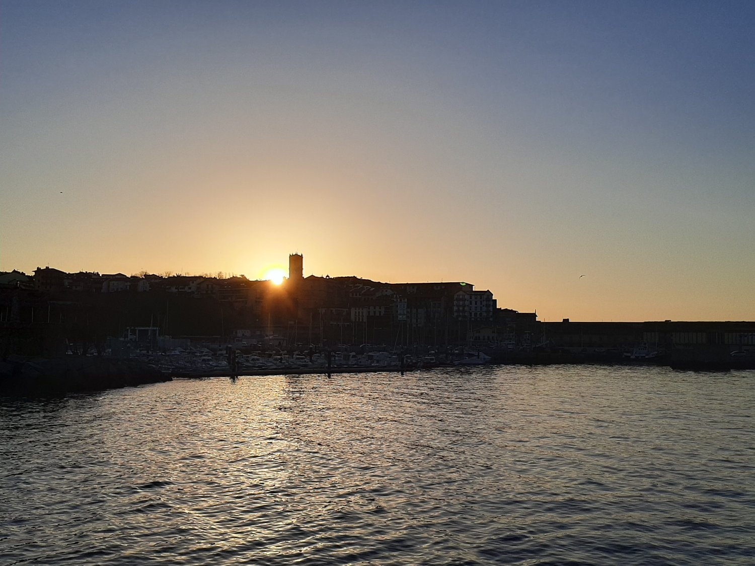 Lidia Mañoso Pacheco banner