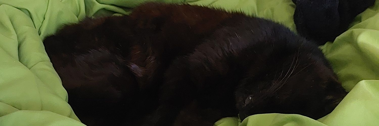 leinuttbutter's profile banner image