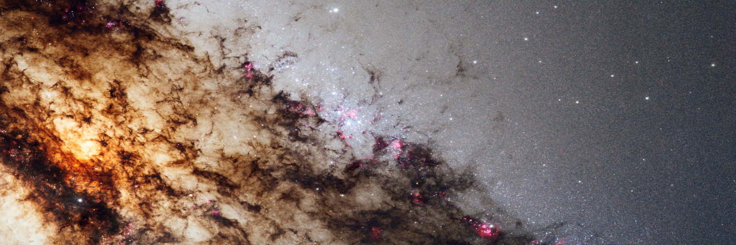 Steve Godbold banner