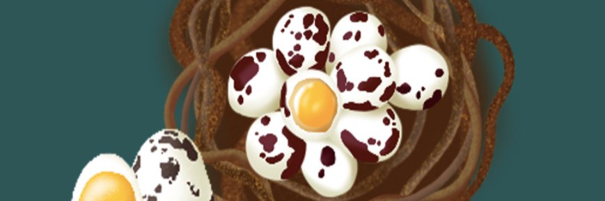 polyquail.finance banner