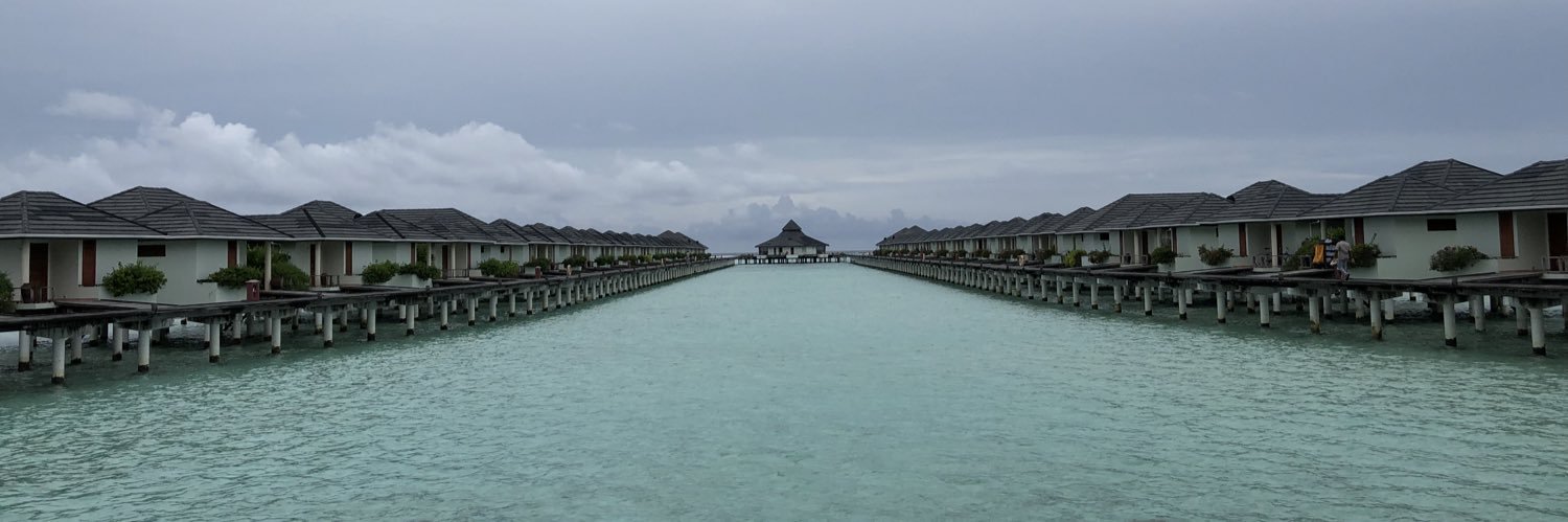 Prachi Nimkar banner