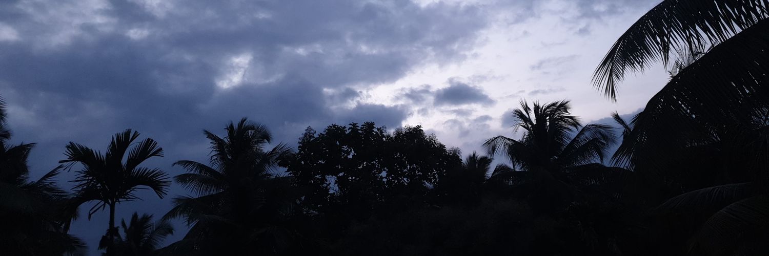 fuck it we bawl's banner