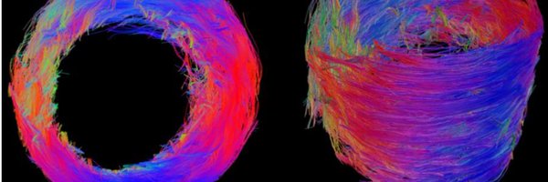 LallyLab Profile Banner