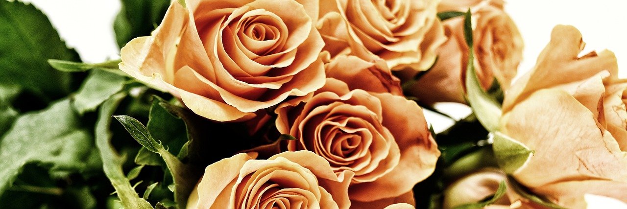 _RaenaRose_'s profile banner image