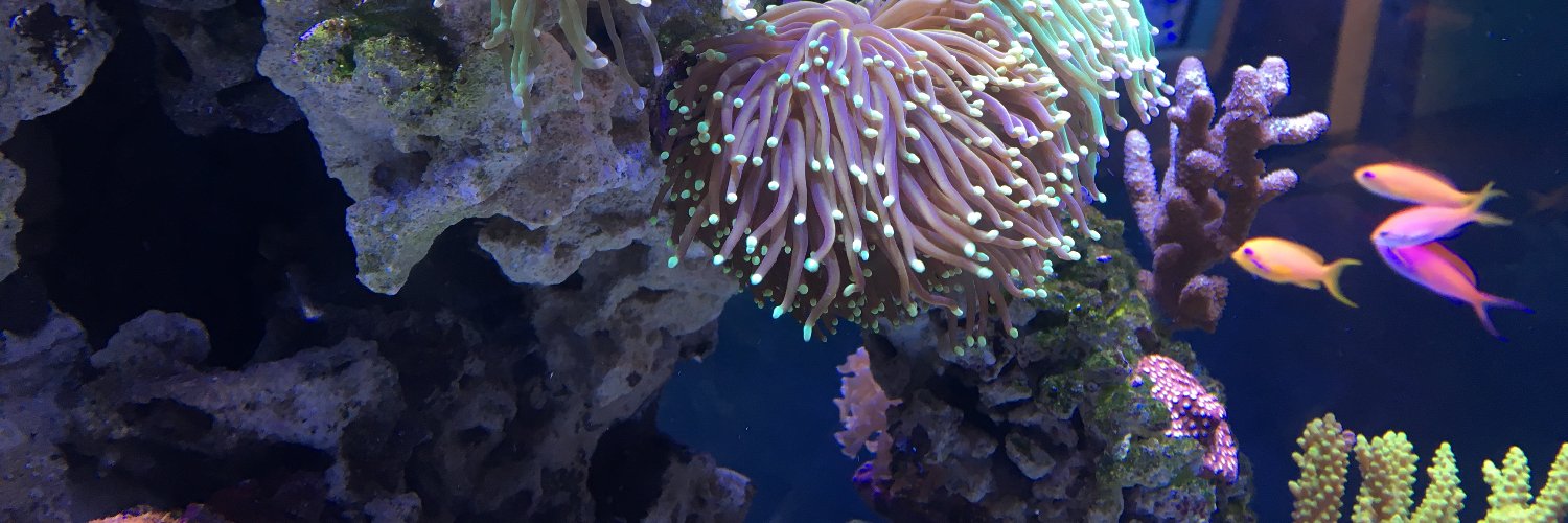 Zoe Cosner, MD banner