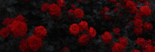 valekralle's profile banner image