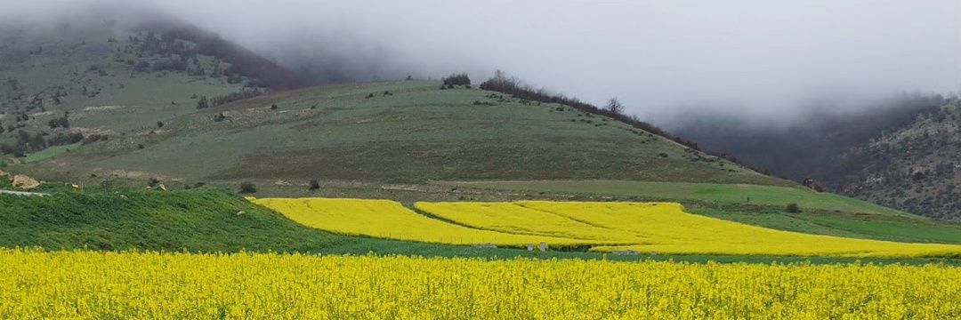 ferix_66's profile banner image