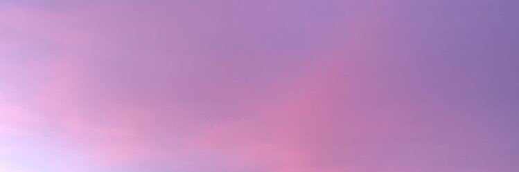 Rapunzel banner