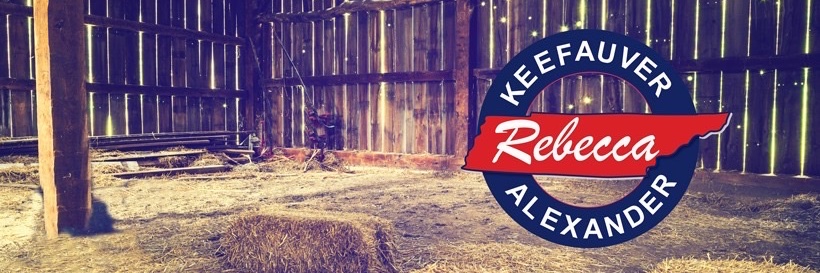 Representative Rebecca Alexander's banner