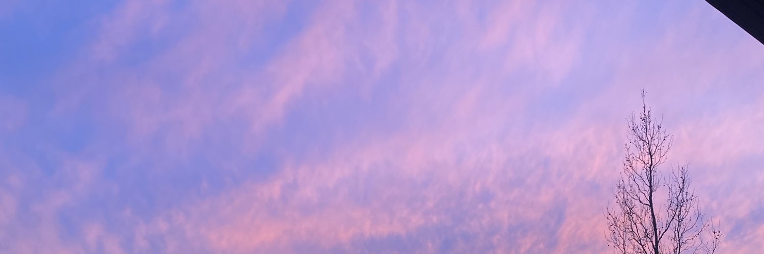 nardaisbored's profile banner image