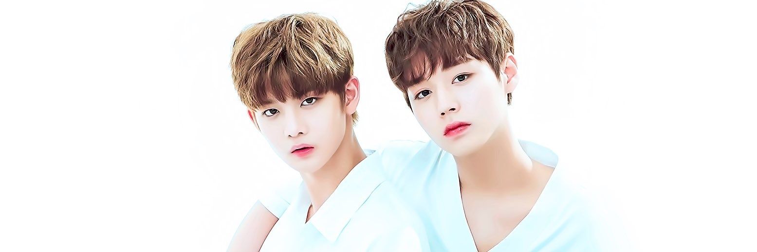 FlowerJ2's profile banner image