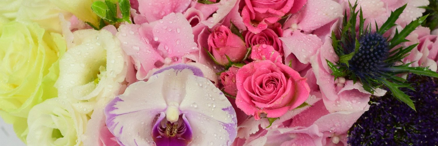 FloriaRo's profile banner image