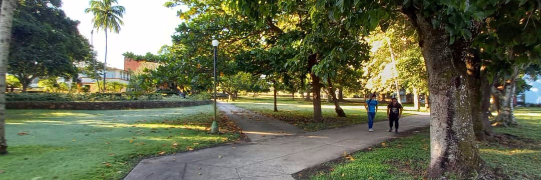 Aleida Suárez Ramírez banner