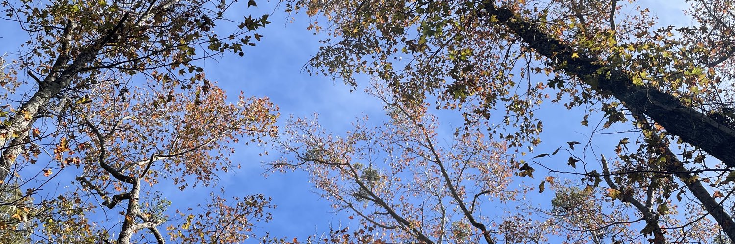 Thomas ✰︎ banner