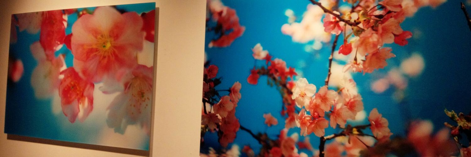 mana_1531's profile banner image