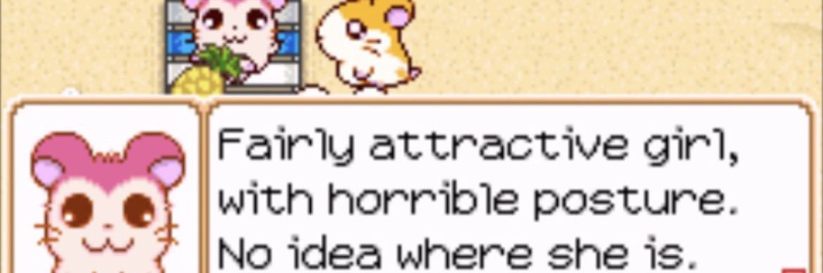 ginger rascal 🐾🐈 banner