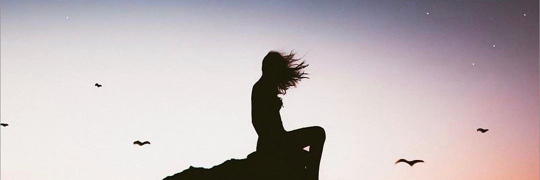 serdar serbest banner